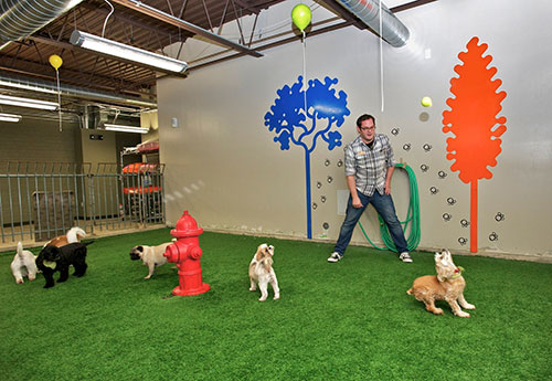 Urban Vet Care Reviews Urban Vet care Northwest Denver, CO Yelp