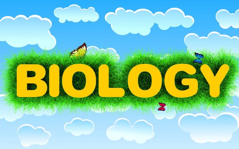 3D Biology Animation The Future Of Educational Technology