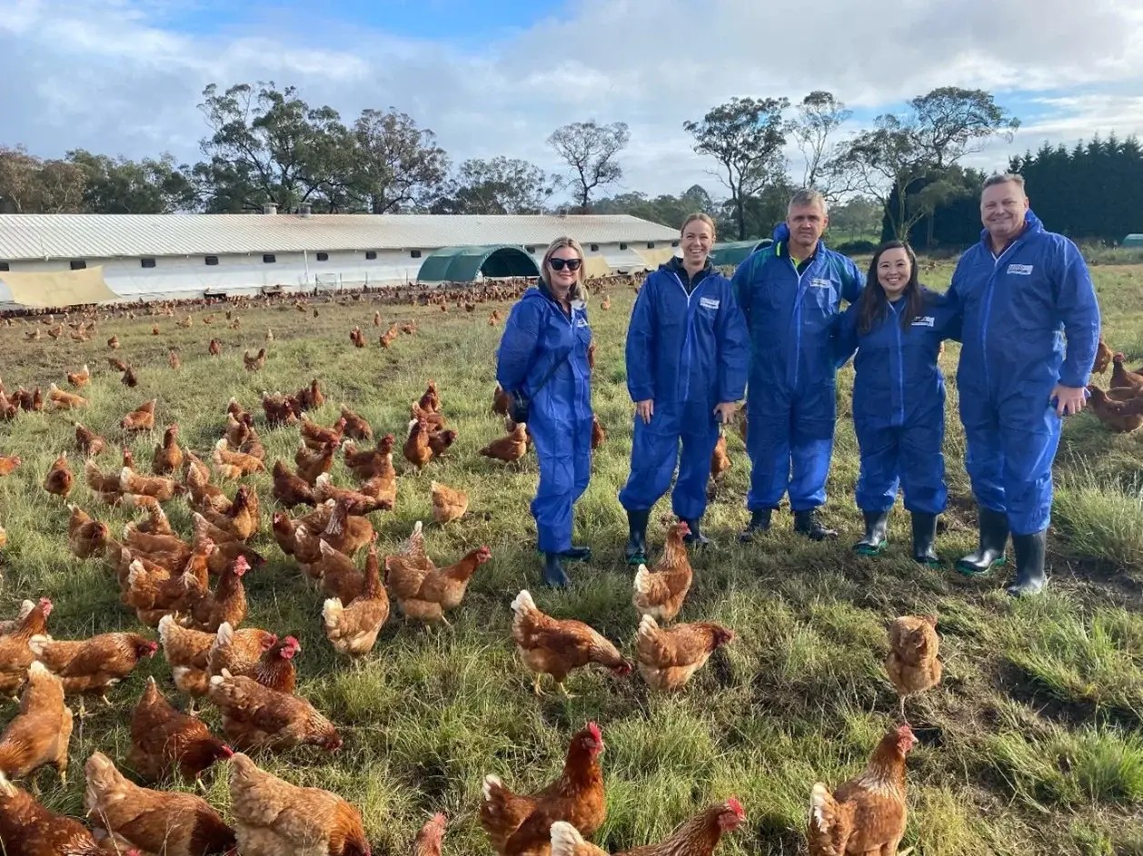 Pirovic Family Farms Certified Organic FreeRange Eggs Australian