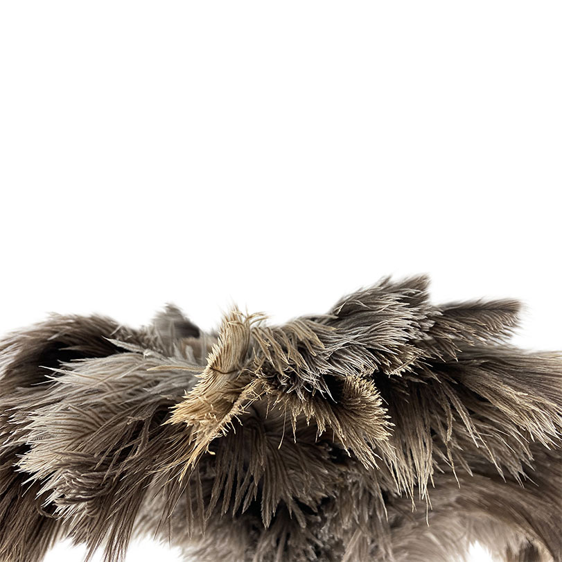 Dusters • Ostrich Feather CAR Duster with Wood Stained Handle