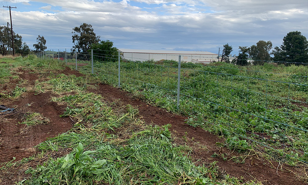 WNS Contracting winners for Rural/Farm Fencing Australian FENCING Awards