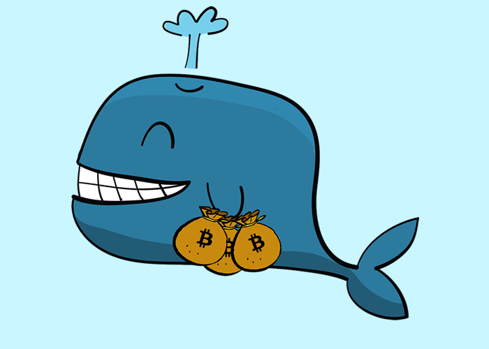 A mystery 1 billion Bitcoin Whale is active What could