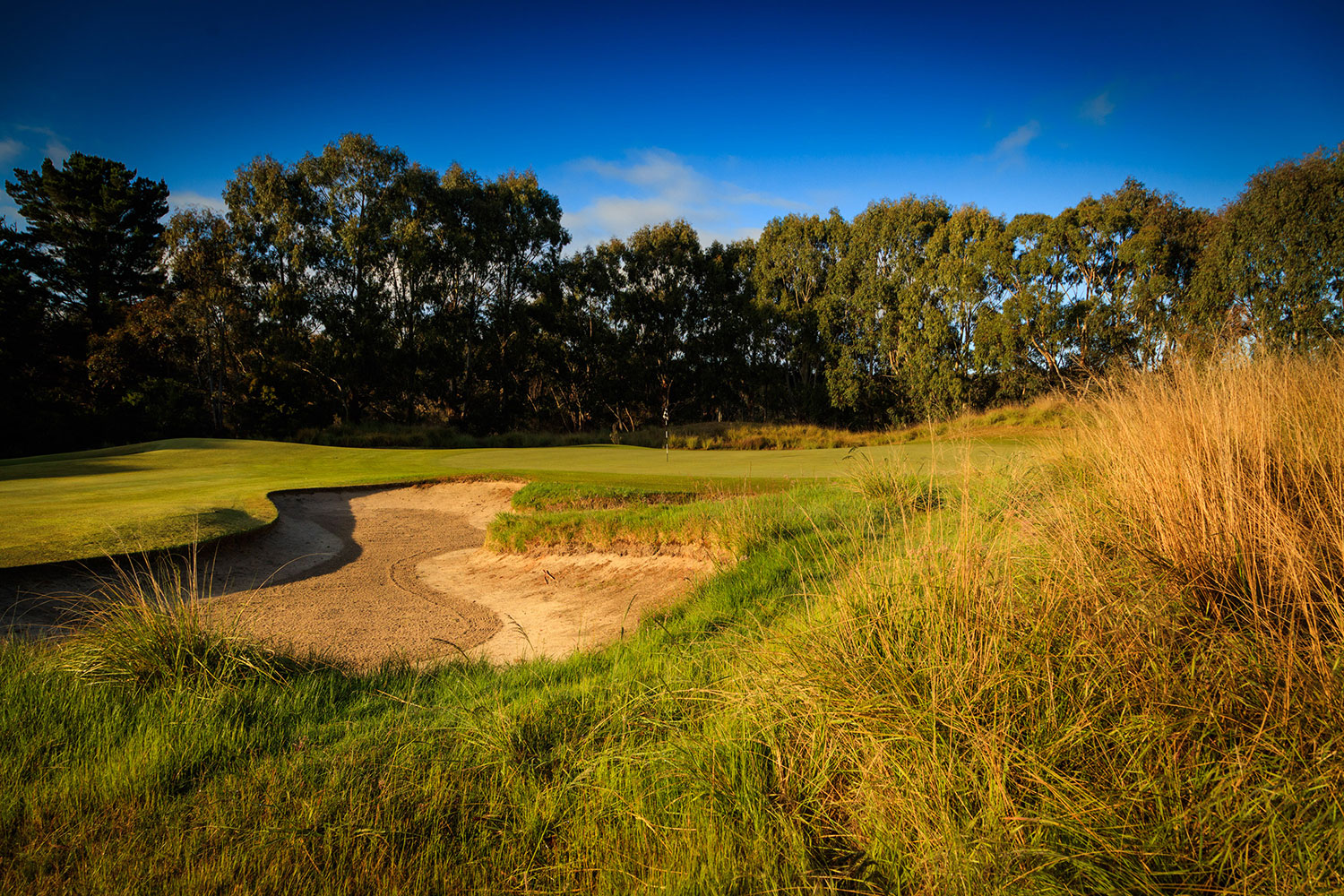 Course Review Mount Compass Golf Course, SA Australian Golf Digest