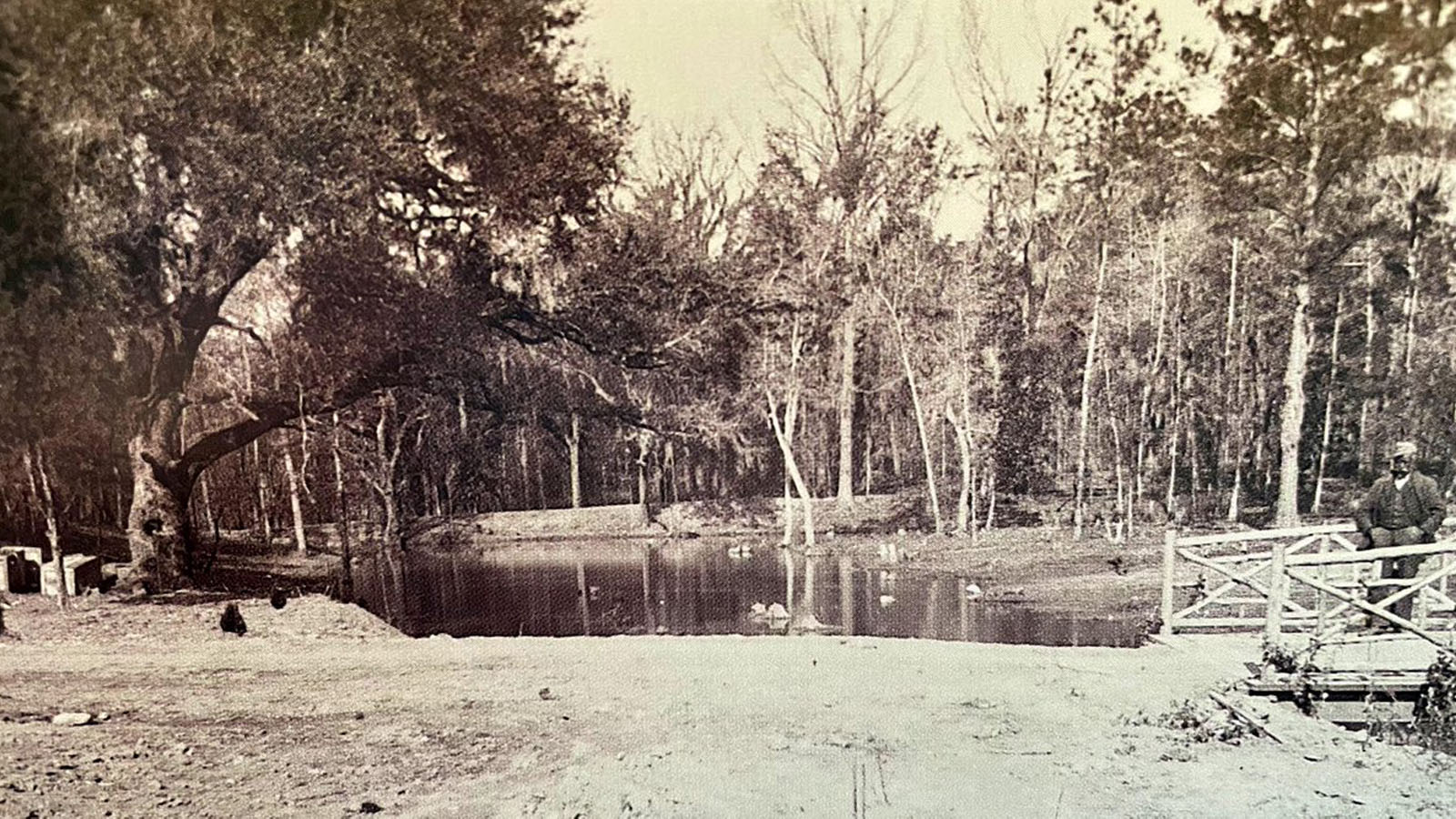 Historic photo of Rae's Creek shows the extraordinary changes to