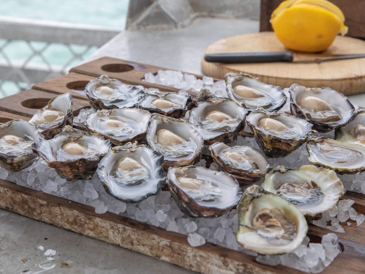 Oyster Shucking and Private Coffin Bay Marine Adventure with Thommo