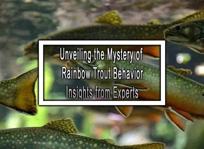 Unveiling the Mystery of Rainbow Trout Behavior Insights from Experts(04)