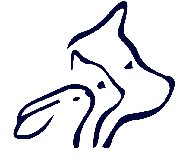 Book Pet Boarding Austral Pets Pet Care Center in Sydney