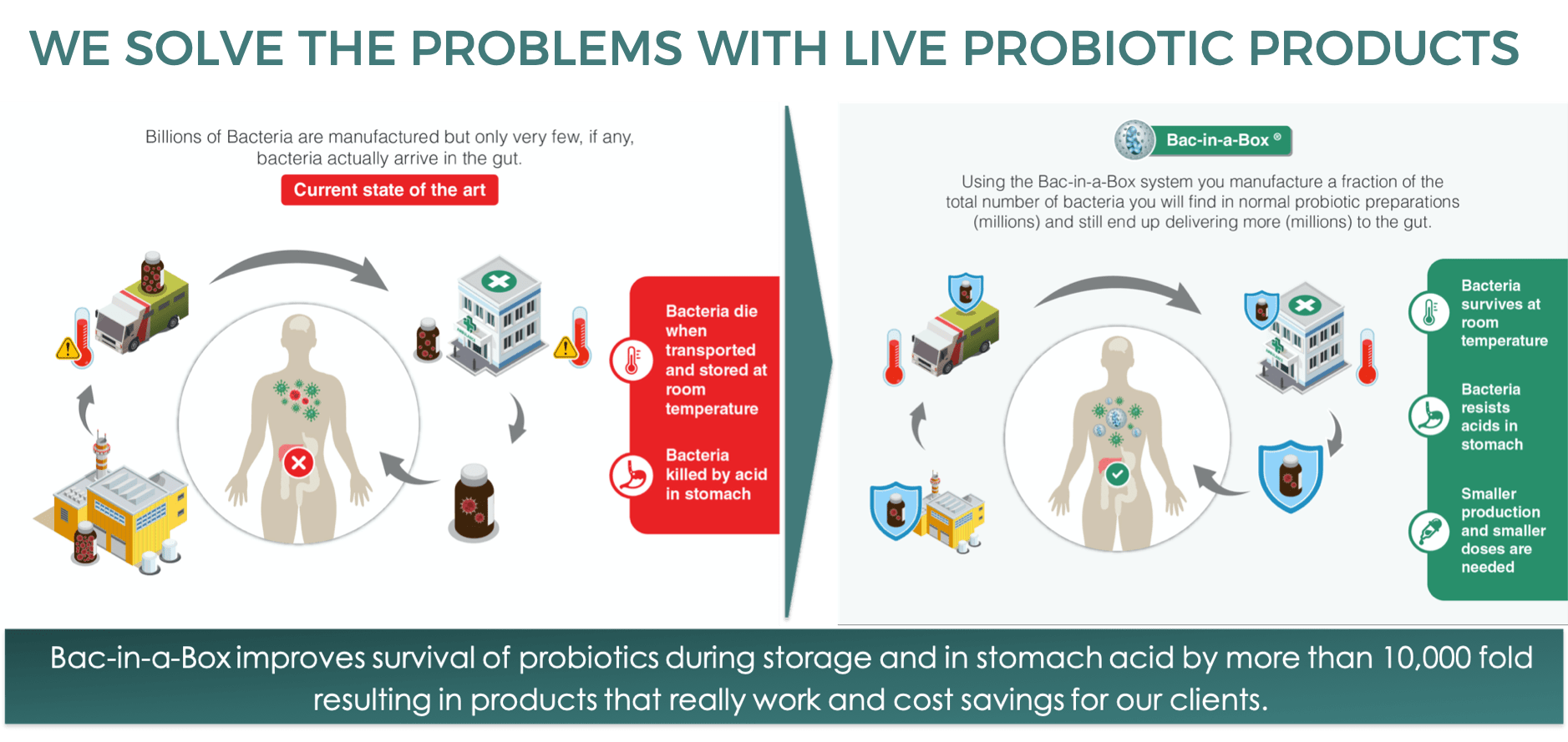 Bacinabox Probiotic in Humans Austrianova