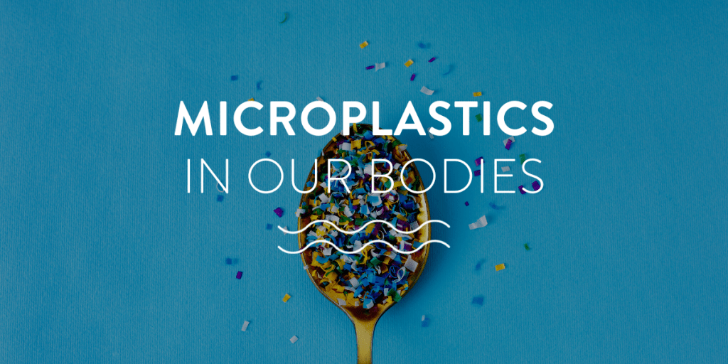 Microplastics also reach the brain Austrian News