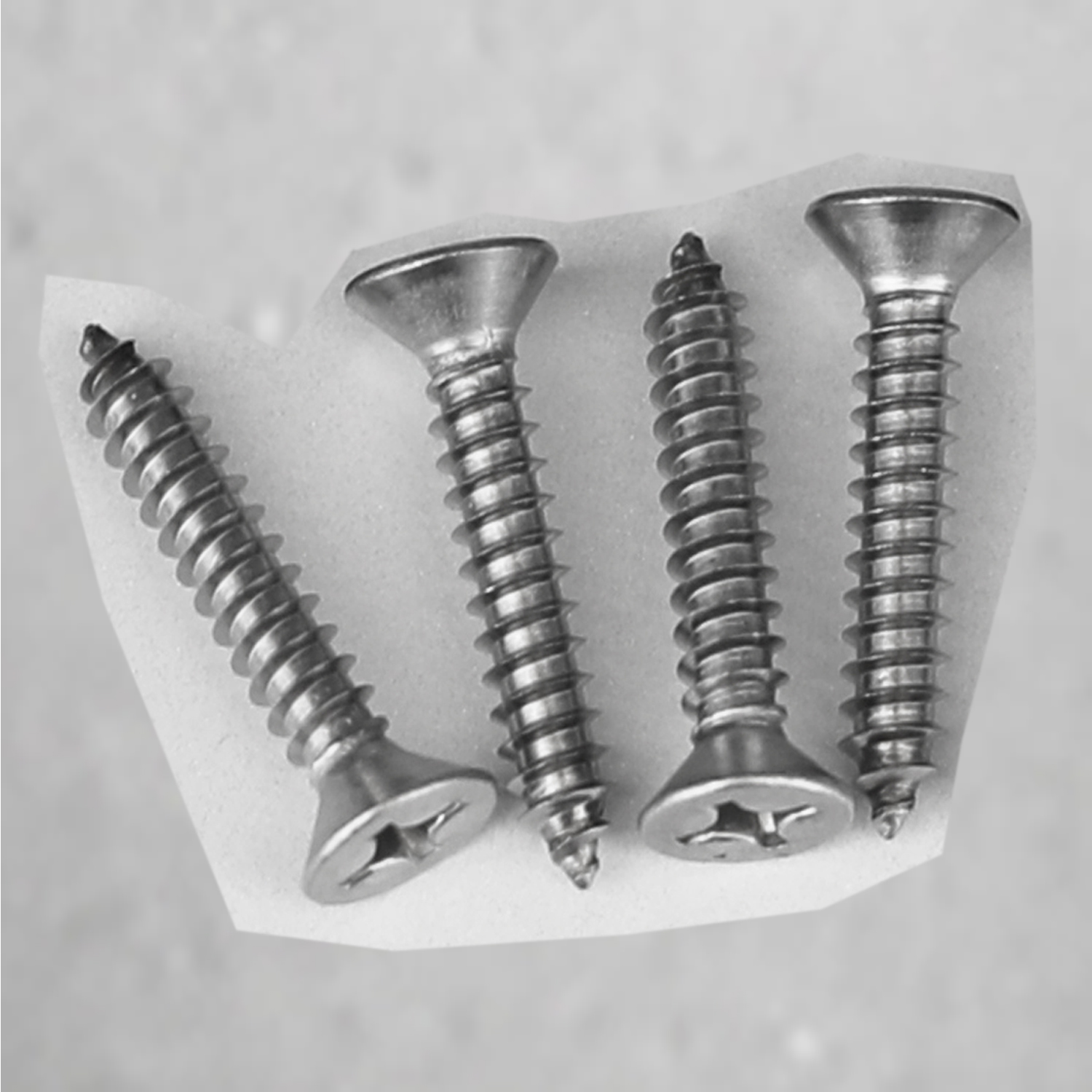 304SS Phillips Head Wood Screws 25mm Length Austyle Architectural