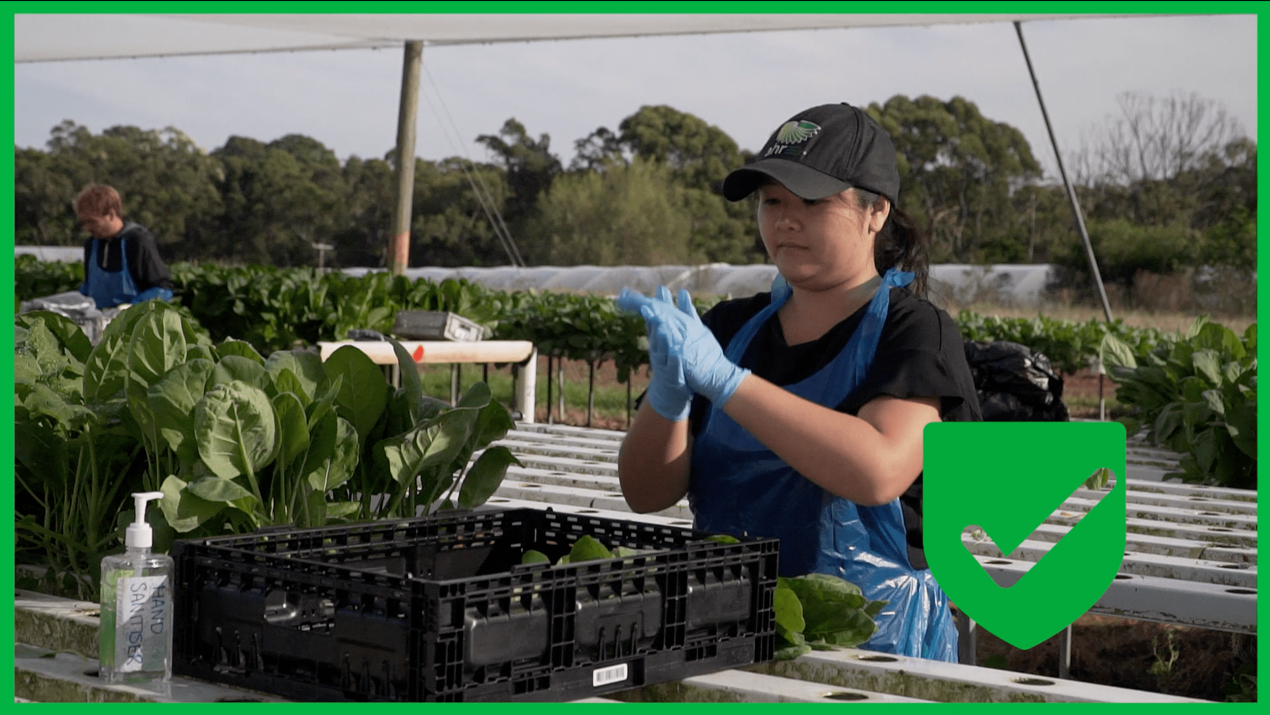 Handling Fresh Produce Safely the course for people in the vegetable