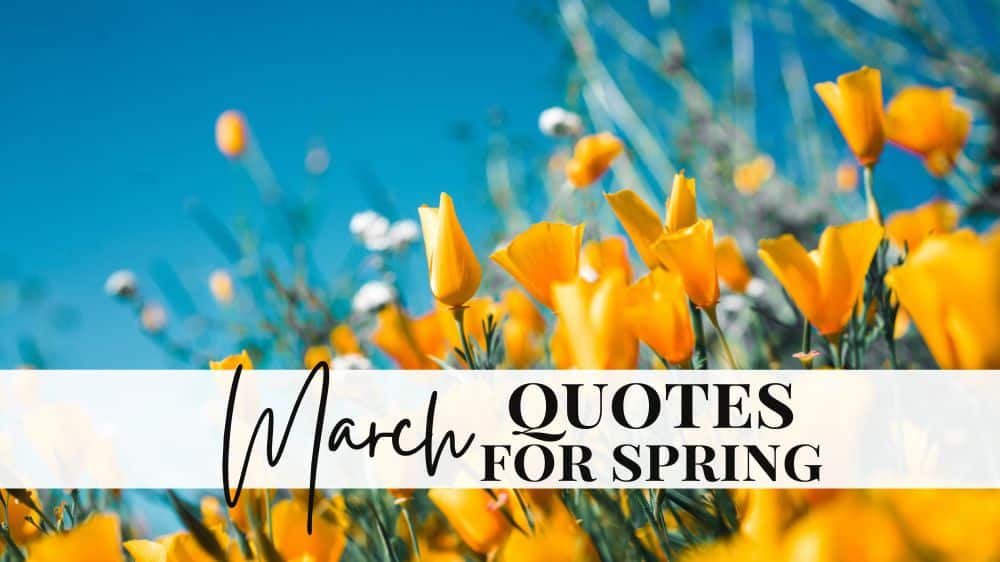 37 Inspirational March Quotes for a Happy Month Authentically Del
