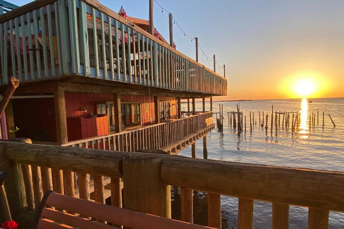 Are Dogs Allowed At Cedar Key Beach