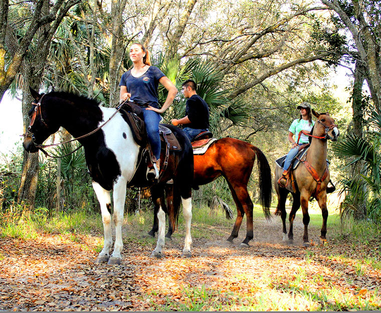 Our Favorite Places to Horse Around in Florida • Authentic Florida