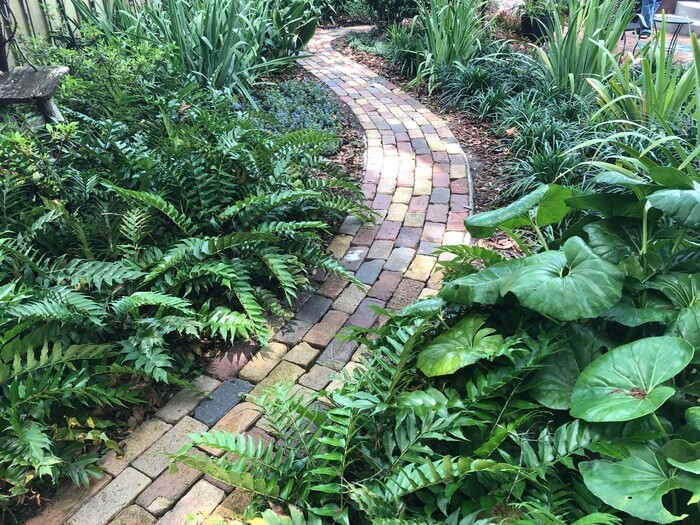 How to Start a Backyard Florida Garden