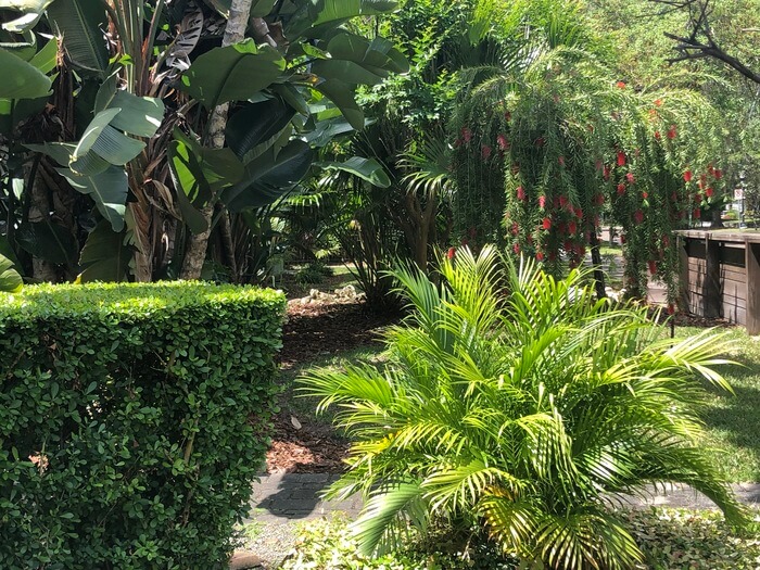 How to Start a Backyard Florida Garden