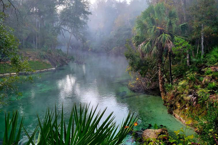 Make a Splash at These 14 Natural Waterparks in Florida