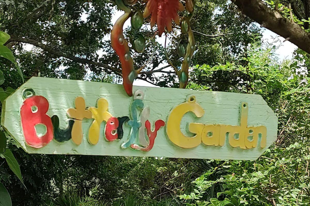 Top 5 Things to Do North of Tampa • Authentic Florida