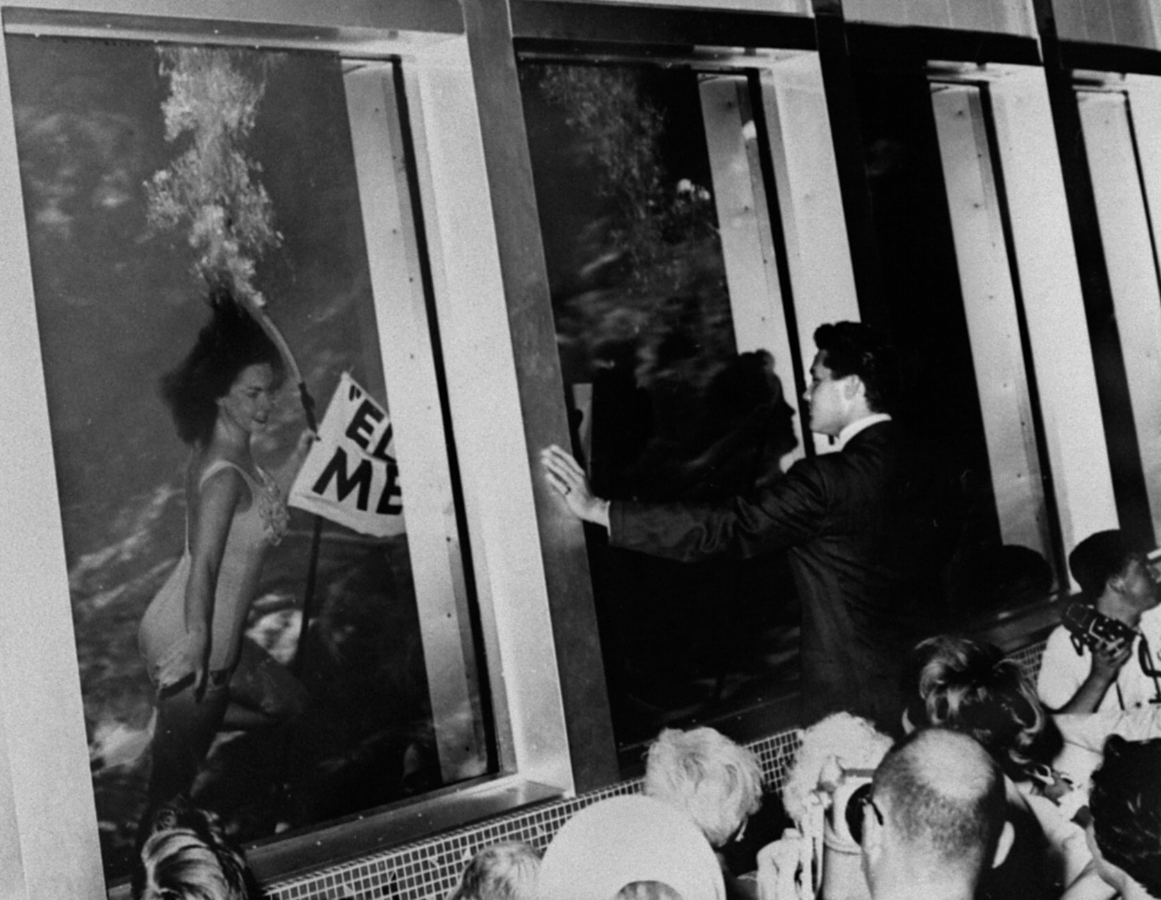 Celebrating the History of Weeki Wachee Springs Authentic Florida