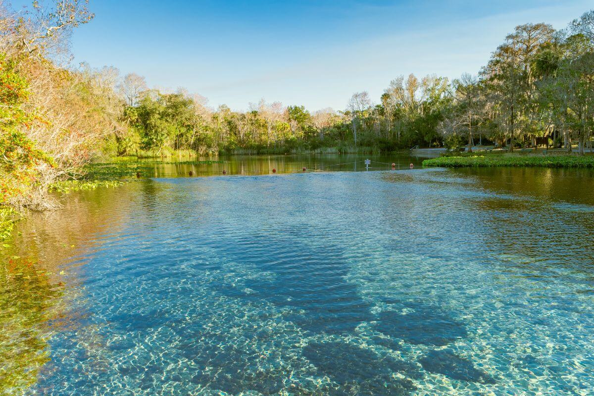 Alexander Springs + Nearby Places to Eat, Stay, & Shop • Authentic Florida
