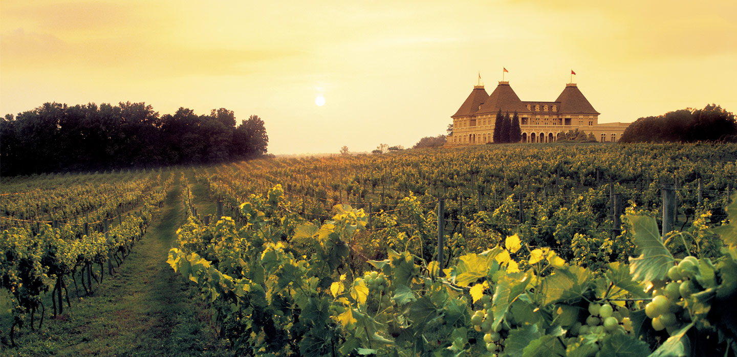 Francewinery Authentic Wine Selection