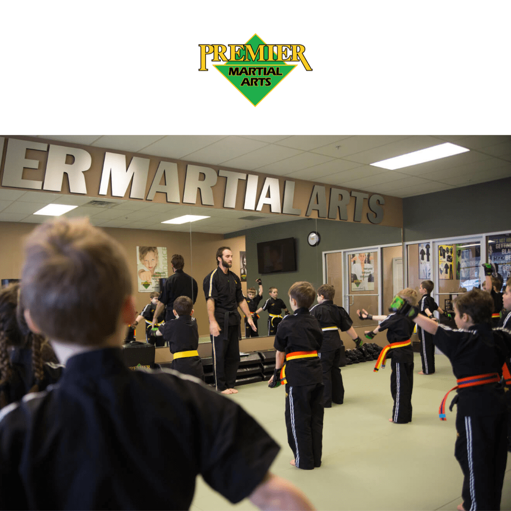 Premier Martial Arts Franchise Opportunity