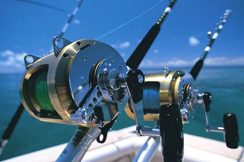 Best Saltwater Spinning Rods Authorized Boots