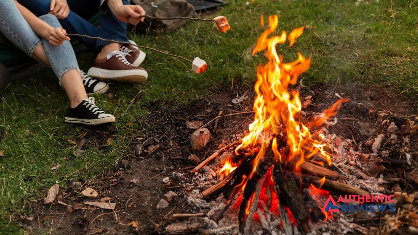 How to Fix Burnt Grass From Fire Pits in Your Backyard?