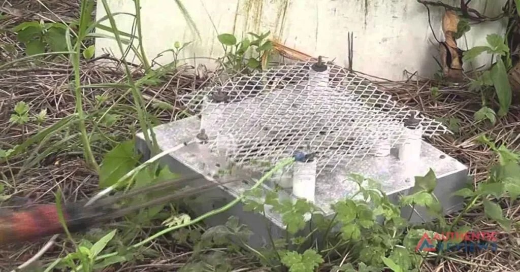 How to Get Rid of Buzz Off,