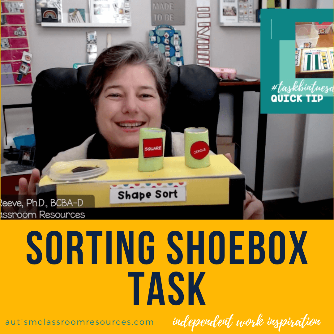 Independent Work Inspiration SelfContained Sorting Task Box Autism