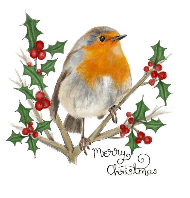 10 Pack of Robin Christmas Cards Autistic Nottingham
