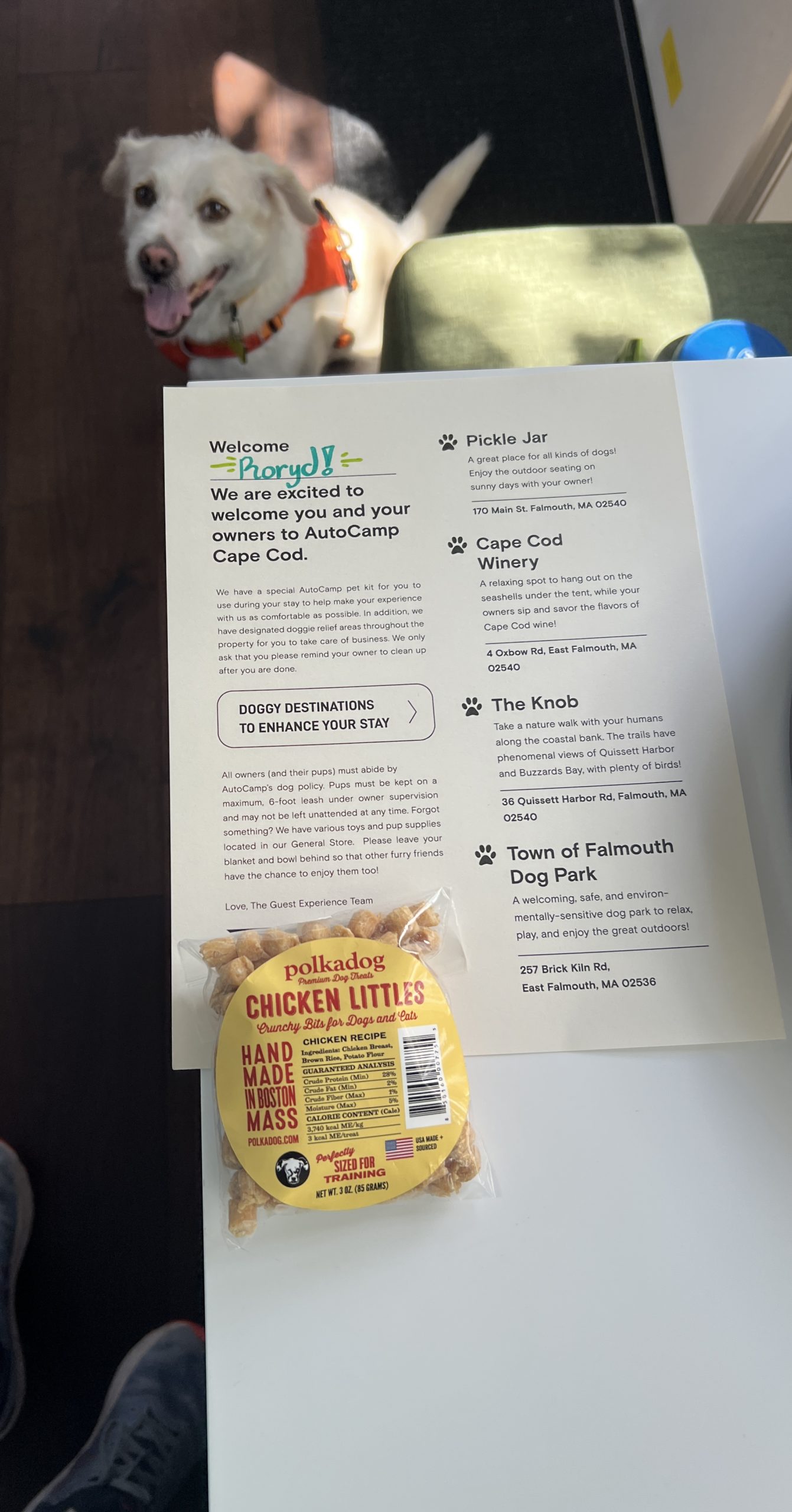 AutoCamp is Dog Friendly AutoCamp Reviews