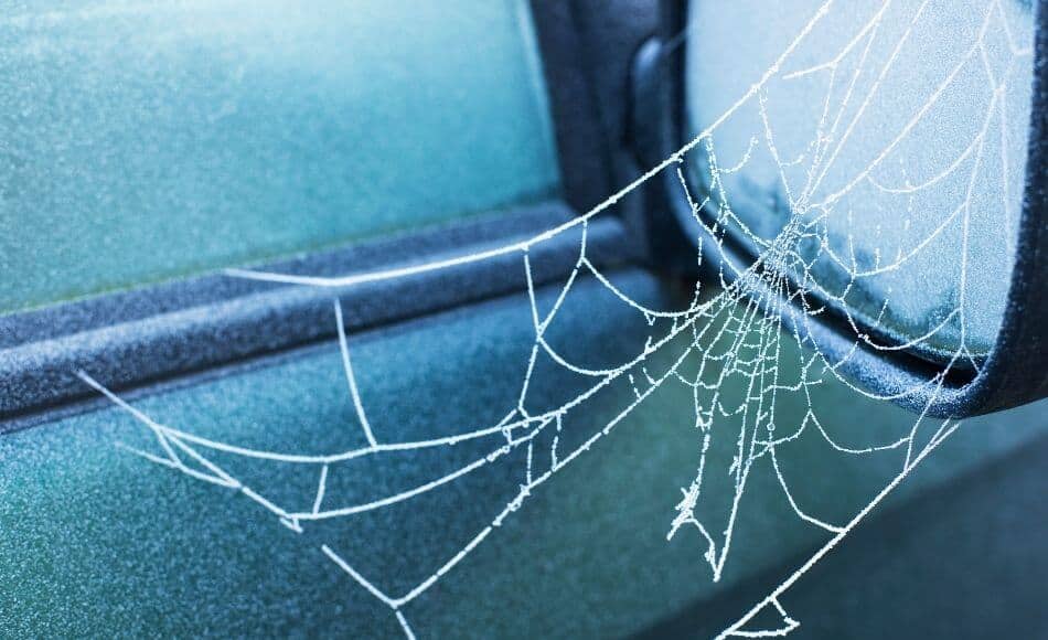 How To Get Rid Of Spiders In Car Side Mirrors