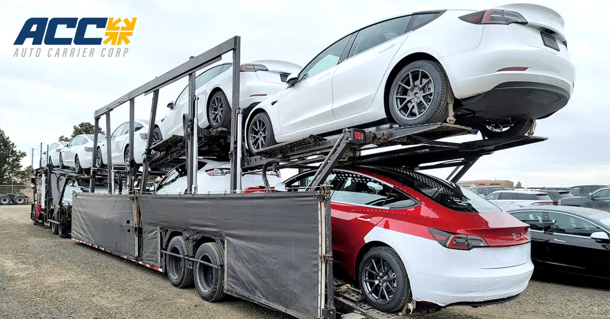 Car Shipping Canada ACC Auto Carrier Corp