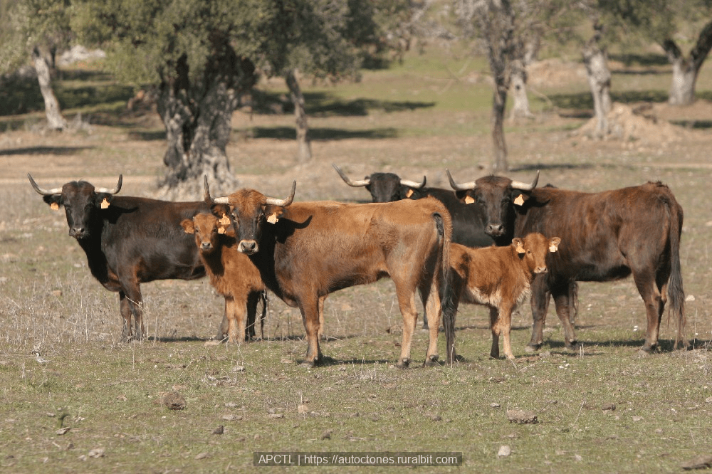 ¿Se puede traer de vuelta al URO? (1) Página 6