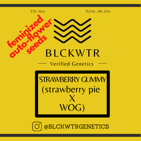 Strawberry Gummy Feminized Autoflower Seeds