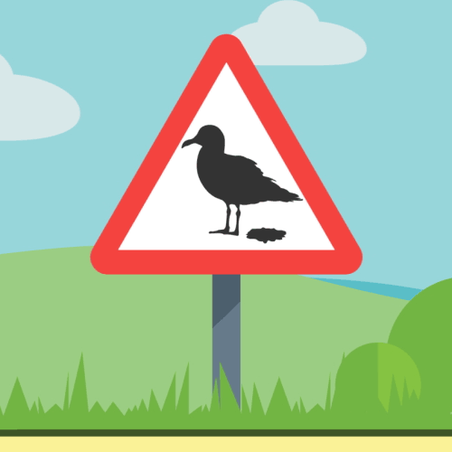 7 Ways You May Be Ruining Your Car’s Paint without Even Knowing It