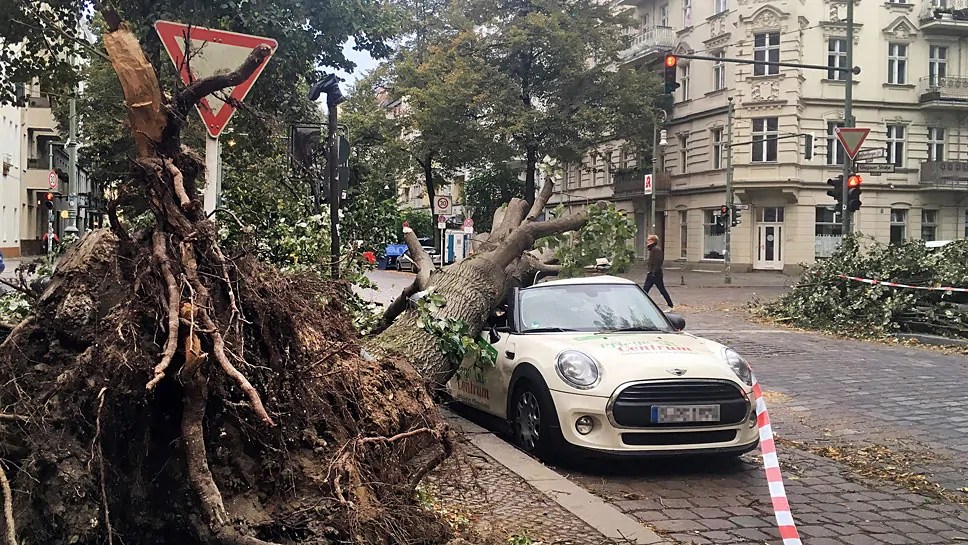 Teilkasko zahlt bei Sturmschäden Autogazette.de