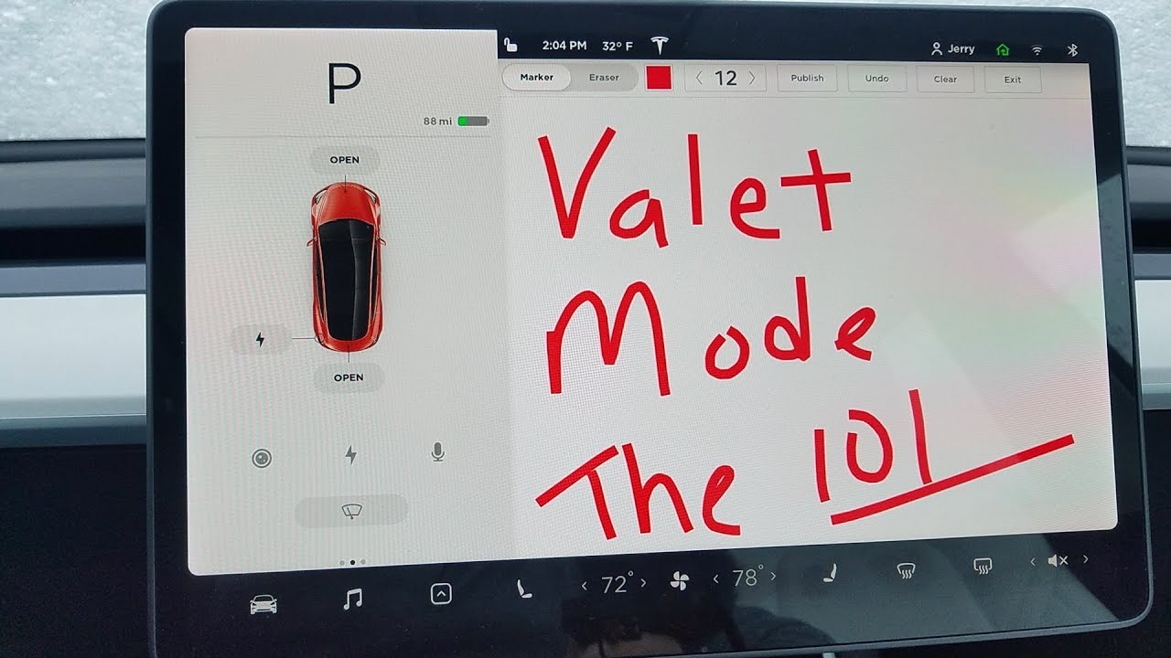 Власниця Tesla Model 3 налякала злодіїв додатком Autogid.pro