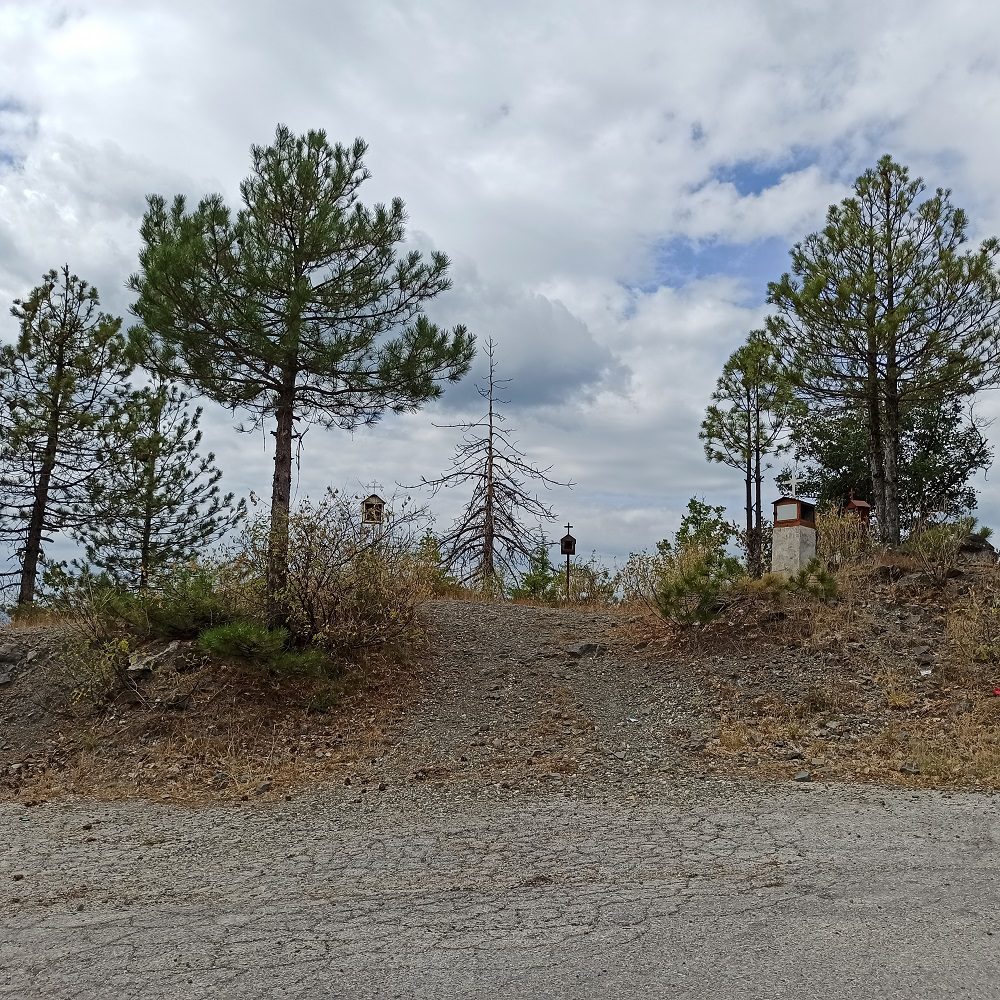 ΡINDOS HISTORIC RALLY DAY2 07