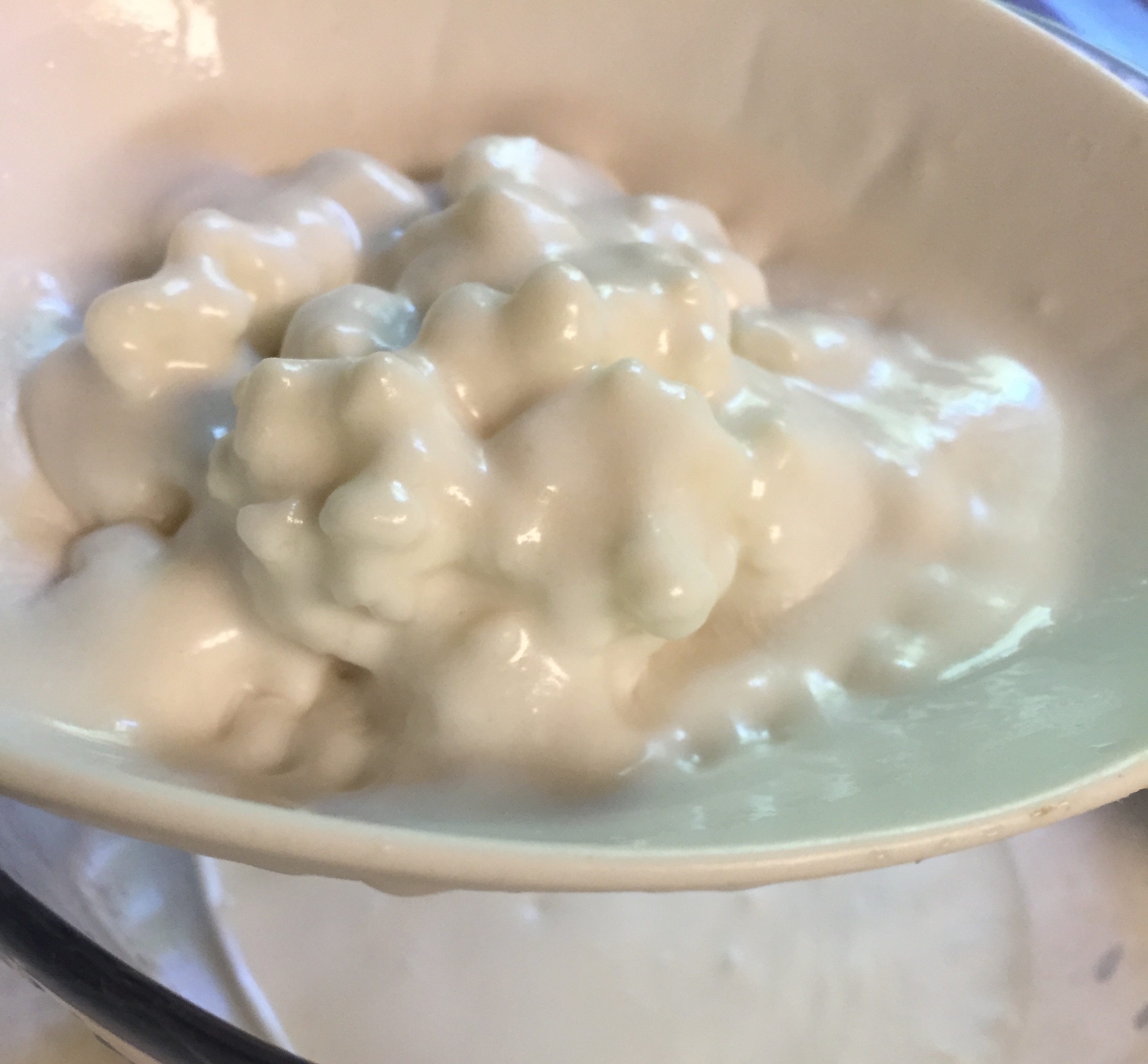 Coconut Milk Kefir autoimmuneodyssey