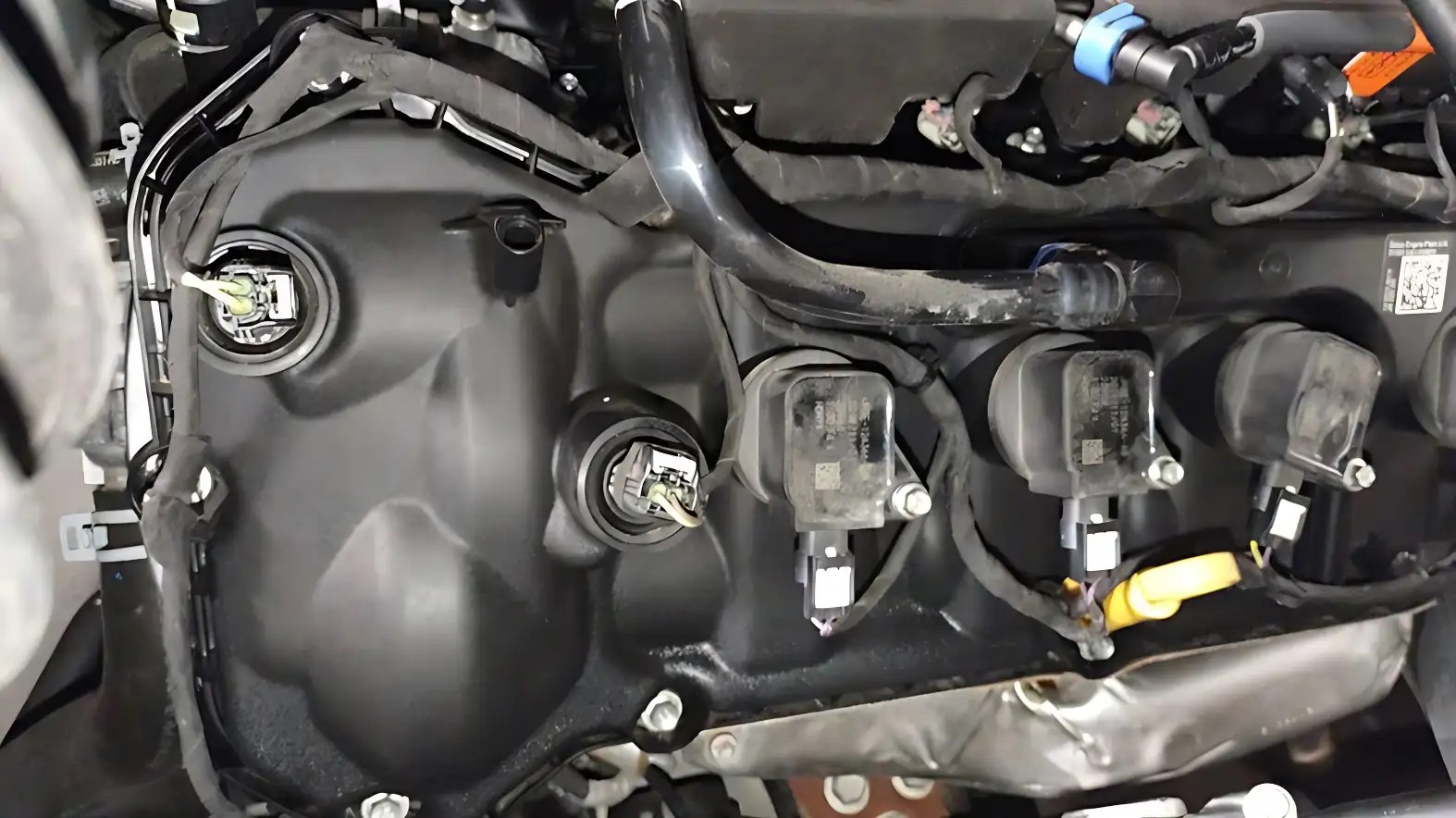 5.0 Coyote VCT Solenoid Problems