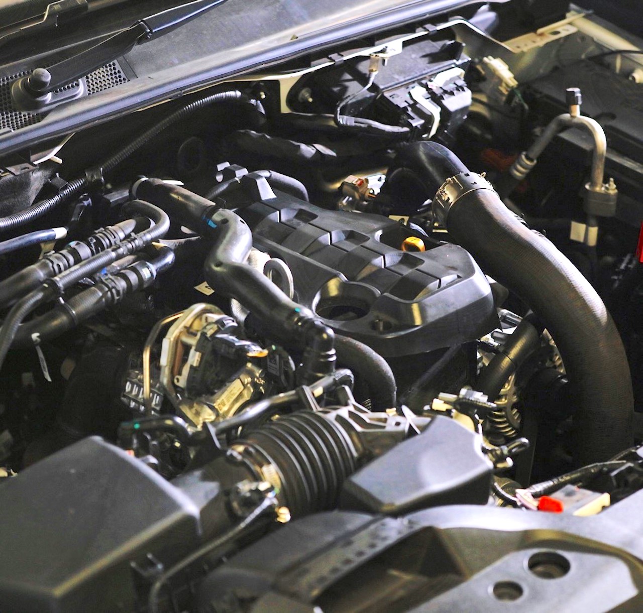 NEW Ford Ranger Surprises With Its Tarmac And Dirt Capability - Automacha