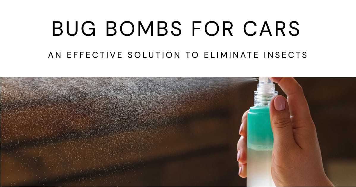 Bug Bombs For Cars An Effective Solution To Eliminate Insects