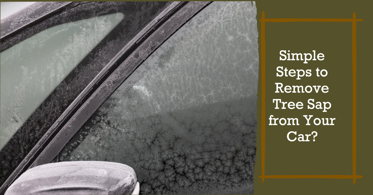 Simple Steps To Remove Tree Sap From Your Car