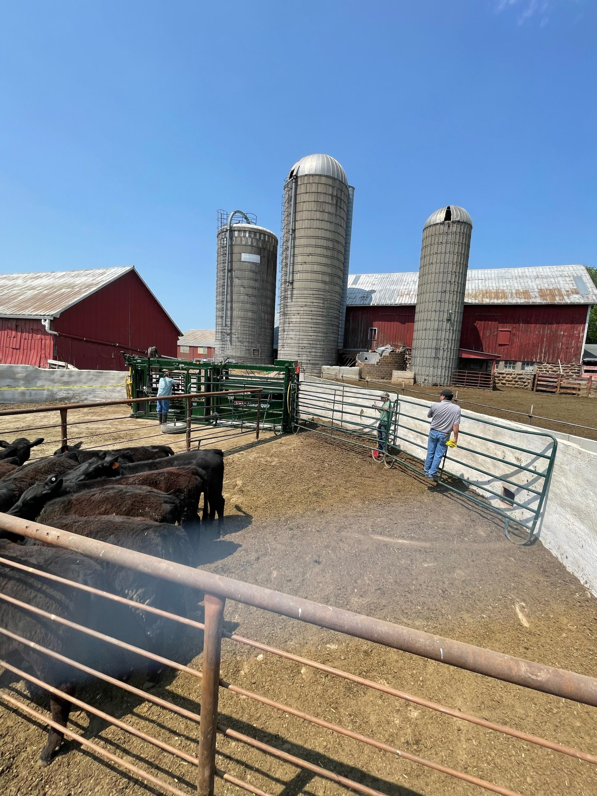 Comparative Study Avg Weight Gain 7.41 Higher