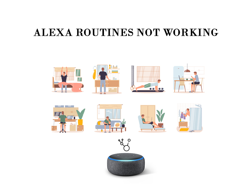 Alexa Not Working Christmas Day 2023 Alexa Routines Not Working How To Fix This Issue? Automation Gears