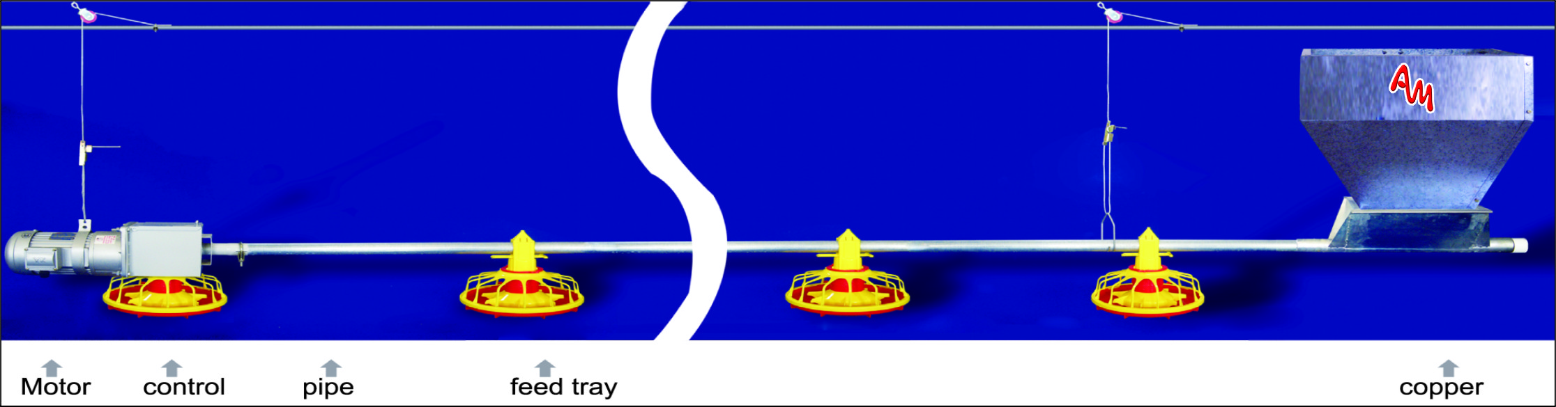 Feeding System – Automation master