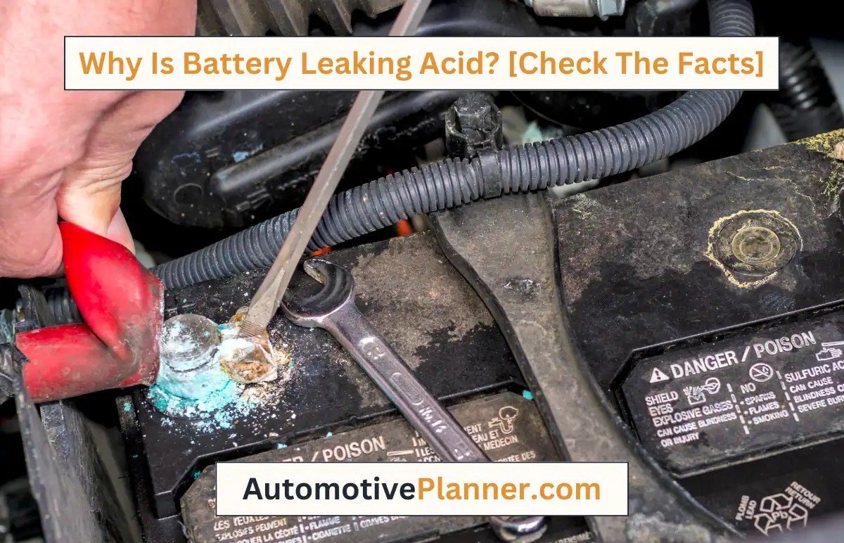 Why Is Battery Leaking Acid? [Check The Facts]
