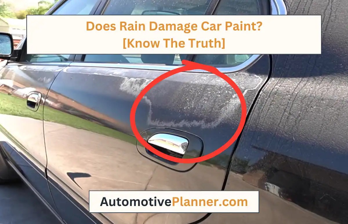 Does Rain Damage Car Paint? [Know The Truth]